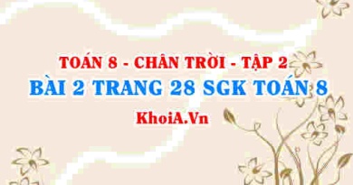 Bài 2 trang 28 Toán 8 Chân trời sáng tạo Tập 2